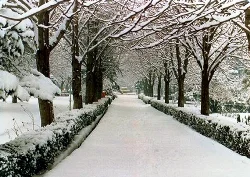 Denizli'ye yılın ilk karı yağdı