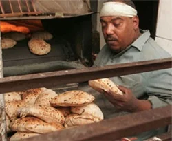 Gıda ve Ziraat mühendislerine müjde