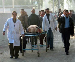 Irak'ta canlı bomba saldırısı: 6 ölü
