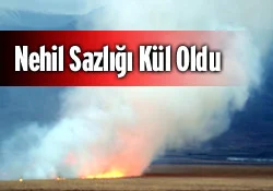 Kuş cenneti cehenneme döndü...