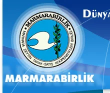 Marmara Birlik zeytin fiyatlarını açıkladı