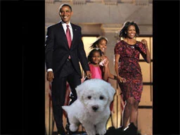 'Obama ailesi hangi cins köpek alsın'