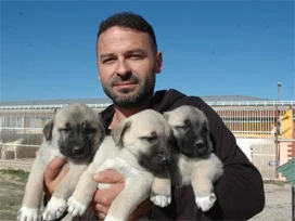 Obama'ya Sivas'tan kangal gönderecek