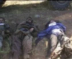 Şırnak'ta üç terörist öldürüldü