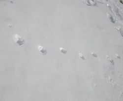 Hırsızı ayak izleri yakalattı!