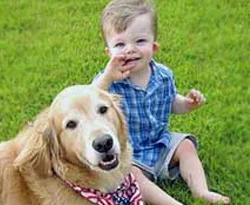 Köpekler küçük çocuğu parçaladılar