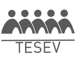 TESEV'den Hükümet'e Kürt raporu