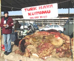 THK 1 milyon 518 bin deri topladı