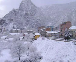 Tortul da beyaza büründü