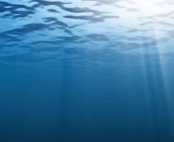 Denizin dibindeki duvar şaşırttı