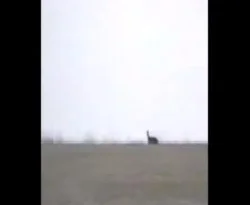 Efsane canavar geri mi döndü?