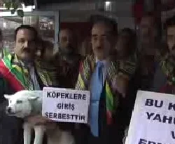 Eskişehir'de ilginç eylem/VİDEO