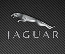 Jaguar'da üretim durduruldu