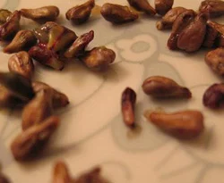 Kanser tedavisinde yeni umut!