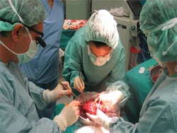 Organ reddine karşı yeni umut