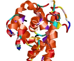 Protein, bir gün körlüğü önleyecek