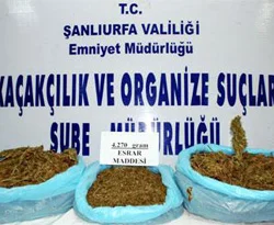 Şanlıurfa'da esrar operasyonu