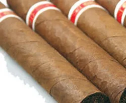 778 adet kaçak puro ele geçirildi