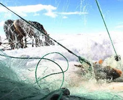 Ardahan?da ?Eskimo? yöntemiyle balık avı