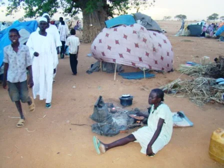 Darfur'da 30 bin kişi evini terk etti