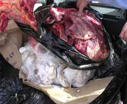 Detarjan ve böcek ilaçlarıyla 700 kilo et