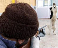 'Dur ateş etme teslim oluyorum!'