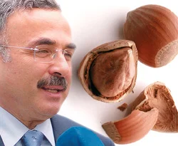 Fındıktan elektrik üretme girişimi...