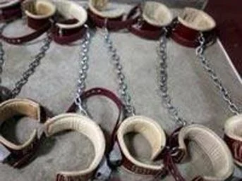 Guantanamo'daki son barbarlık