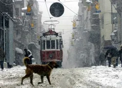 İstanbul'da kar yağışı