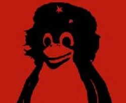 Küba penguenini buldu