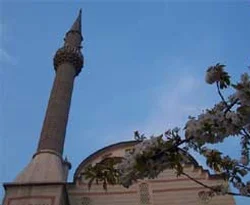 Latin Amerikalı imamlara enstitü