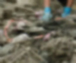Meclis binasında insan kemikleri bulundu
