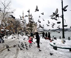 Ne kadar İstanbullusunuz?