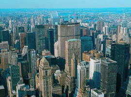 New York'u tahtakuruları istila etti