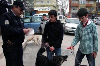 Polisten köpeklere kimlik kontrolü
