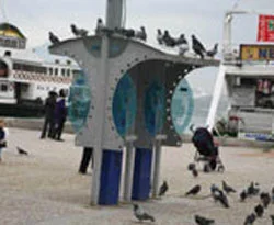 Telefon kulübeleri kuşlara yuva oldu