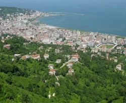 Yeşili yok etme lobisi işbaşında