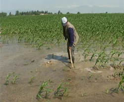 1.7 milyon insan sele kapıldı