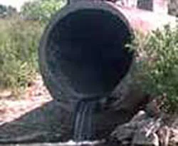 Atık yağlar doğanın dengesini bozuyor
