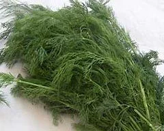Bu bitki tüm diyetleri kurtarıyor