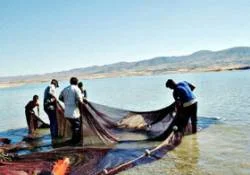 Gürcistan'da tutuklanan balıkçılar serbest