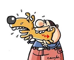 Köpeğini ısırana 3 ay hapis cezası