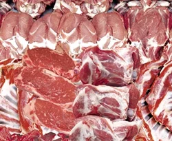 Mersin'de 600 kilo at ve eşek eti