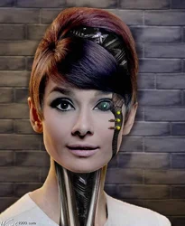 Robot manken yaptılar!