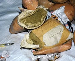 Şırnak'ta 1,5 kg esrar ele geçirildi