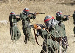 Şırnak'ta 1 terörist teslim oldu