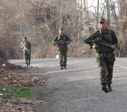 Bestler derelerde çatışma