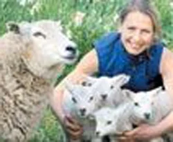 Dolly'nin altı kuzucuğu birden oldu