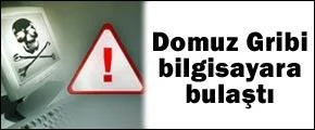 Domuz gribi bilgisayara sıçradı