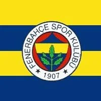 Fenerbahçe Kulübü, 55 ilde yeni futbol okulu açacak.